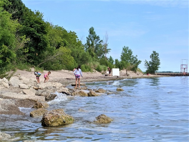 What to See and Do on The Toronto Islands During the Pandemic