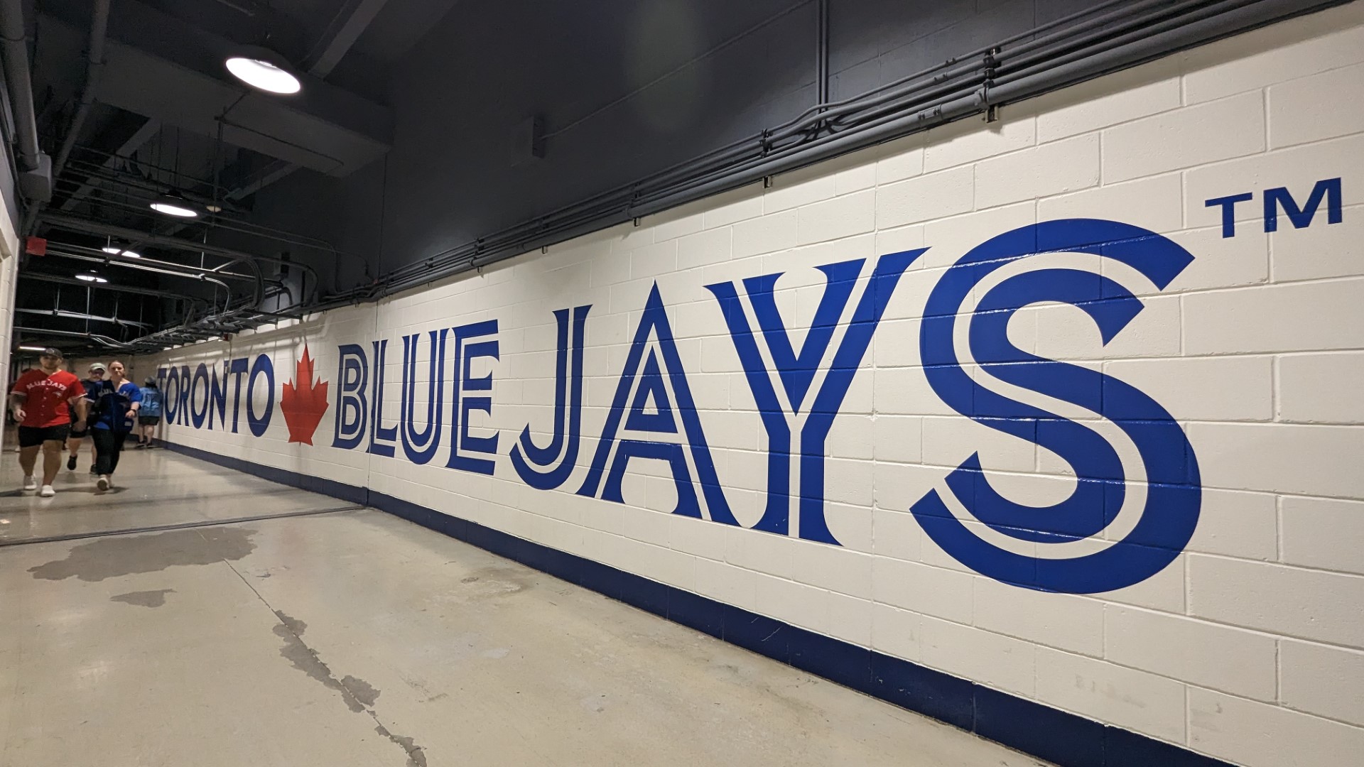 Toronto Blue Jays Store Rogers Centre Store, SAVE 34